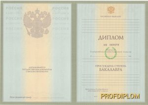 Диплом бакалавра 2004-2008