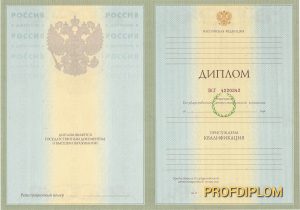 Диплом специалиста 2004-2008 года